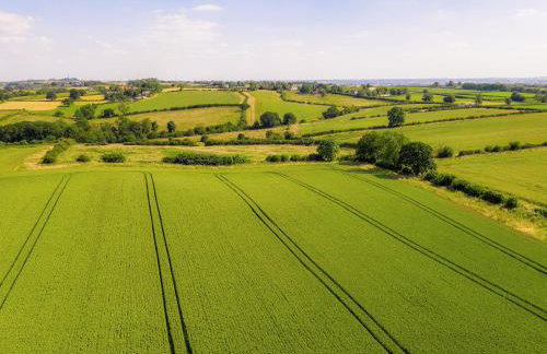 The Woodshed - Foto 27