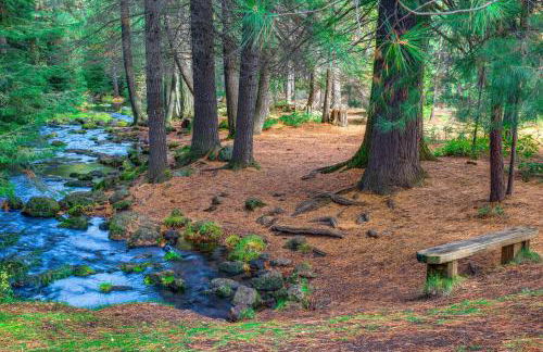 Black Butte Ranch: Aspen Grove Retreat - Foto 41