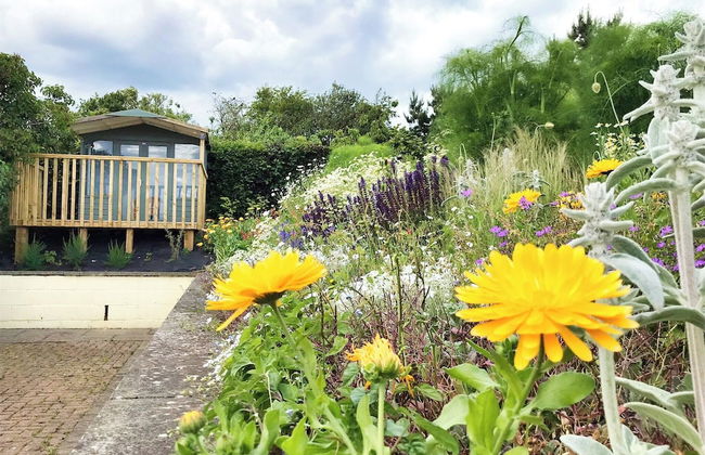 Accessible Bungalow - 4 Beds 2 Baths -dog Friendly - Foto 33