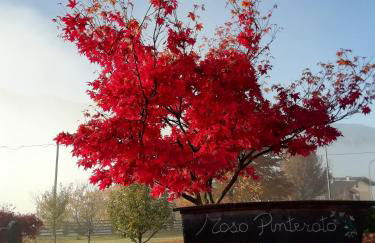 Maso Pinterato - Foto 15