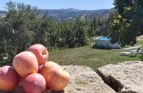 Casa do Feitor - Douro - Quinta da Cabrida - Foto 63