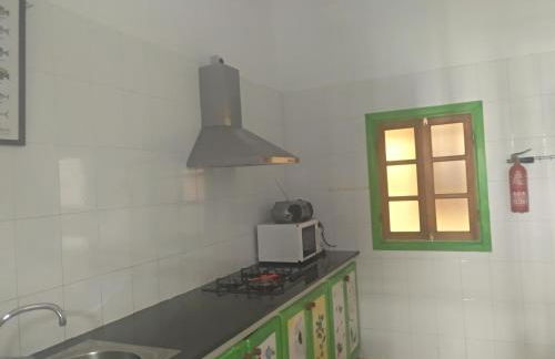 Las 3 Palmeras de Arrecife - Foto 13