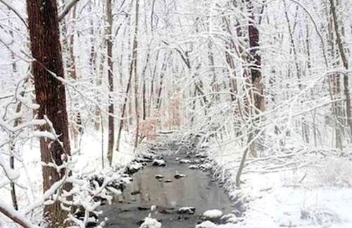 Peaceful Getaway above a Beautiful Yoga Studio near Devil's Den Nature Preserve, Connecticut - Foto 23
