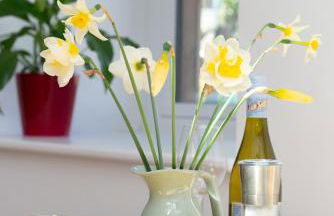 Hednes Barn - Foto 34