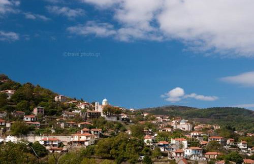 1924 Studios 1 - Photo 39