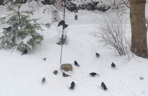 The Motor House - Foto 19