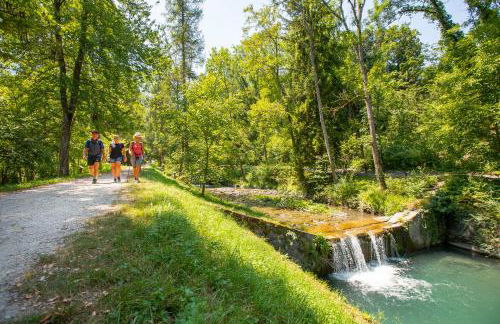 Residence RADIANA - Foto 21