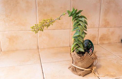 Casa Lucia a 500 m de la playa - Formentera Natural - Foto 21