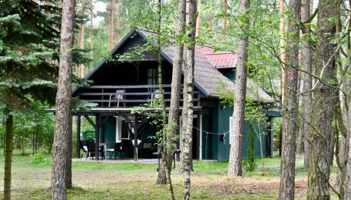 Daleko od Szosy - Foto 5