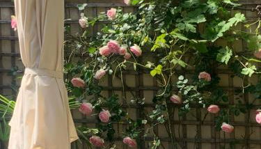 Les Loges des Chalets - Foto 2, Garden