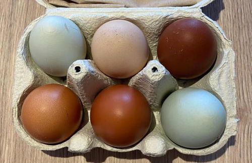 Ferienwohnung Piesch - Foto 15