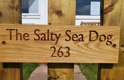 The Salty Sea Dog - Dog friendly and 2 minutes walk to the beautiful, golden beach - Foto 12