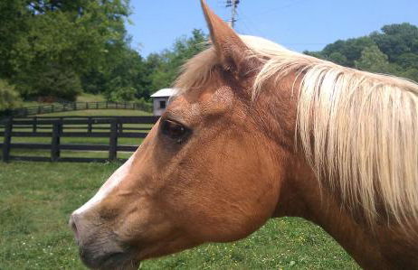 Full Circle Farm Inn - Foto 13