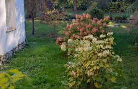 Świerkowe Ranczo Raciszewo - Foto 44