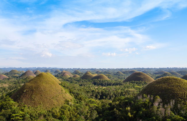 Bohol Wildlife and Nature Tour - Photo 1