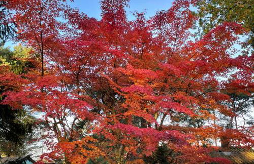 Bungalow am Schwielochsee 2.0 - Foto 7