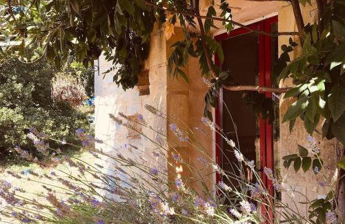 Centre Equestre Du Passe Temps - Foto 8