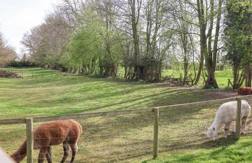 Duck Lodge - Foto 23