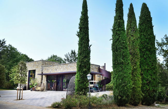 Fattorie di Celli - Photo 1