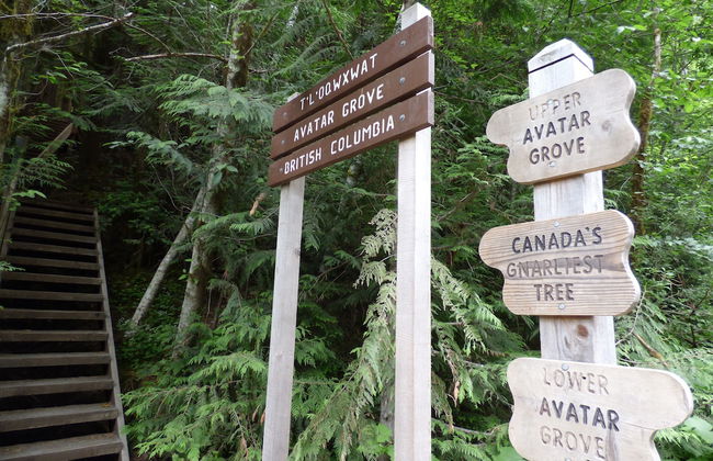 Eagle Reach - A West Coast Cottage - Foto 18