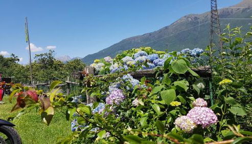 Agriturismo Volpe Golosa - Foto 3