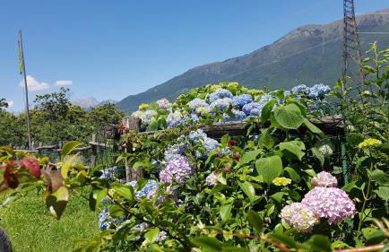 Agriturismo Volpe Golosa - Foto 3