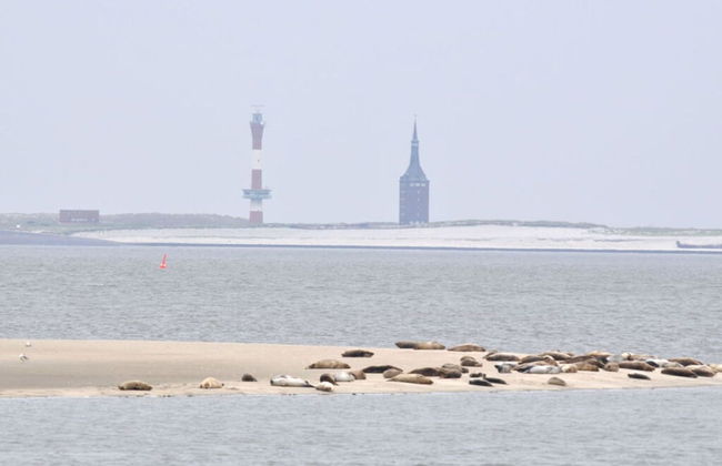 Strandfleh Modern Retreat - Foto 15