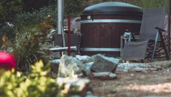 Ferienhaus Vogtland mit Sauna und Hot Tub - Foto 2