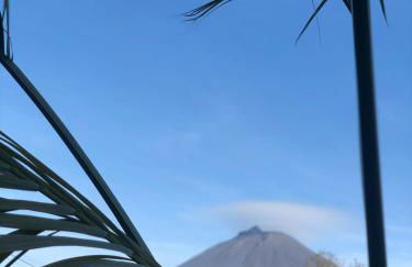 Ferreiro do Cabeço House - Photo 10