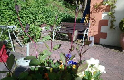 Laugharne Cottage Golwg Harddwch - Photo 16