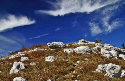 Villa Bella Vista near Ucka Nature Park - Foto 32