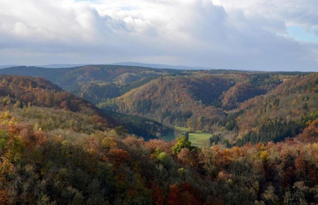 Fenced Garden, Friedrichsbrunn - Photo 36