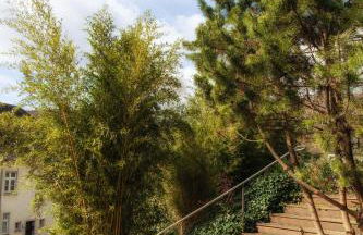 Ferienwohnung "Gaston" Mitten in Waldbreitbach - Foto 5