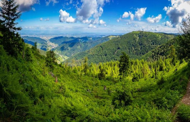 Ferienwohnung im Malerischen Kniebis - Foto 22
