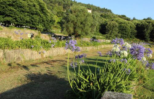 Casa dos Macieis - Entire Main House, Entire Guesthouse or Separate Wing of Main House - Camino Santiago direct access & Optional Agritourism - Foto 34
