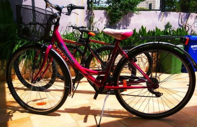 ApartHotel Viola - Foto 17