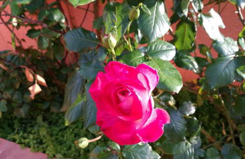 Country House Vignola Mare - Photo 26