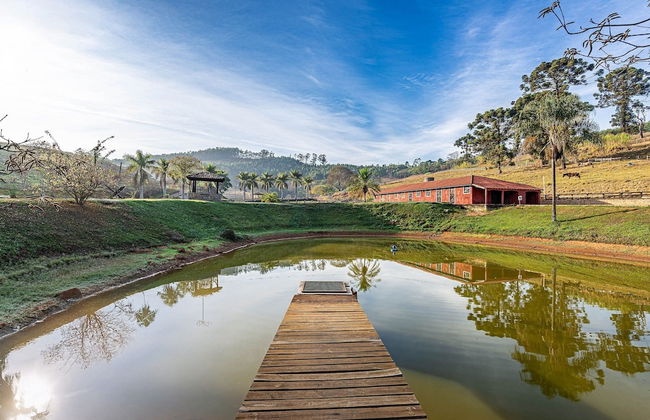 Fazenda Realeza - Foto 74