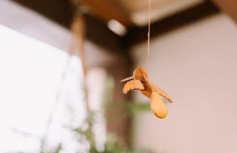 Mar e rio Orla Itacaré - Casa Flor - Foto 138