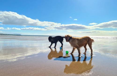 Wester Den - Photo 36