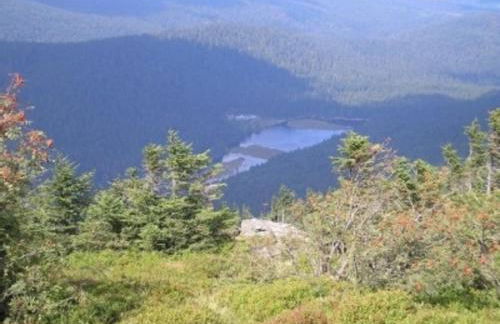 FEWO Prackenbach - Foto 14