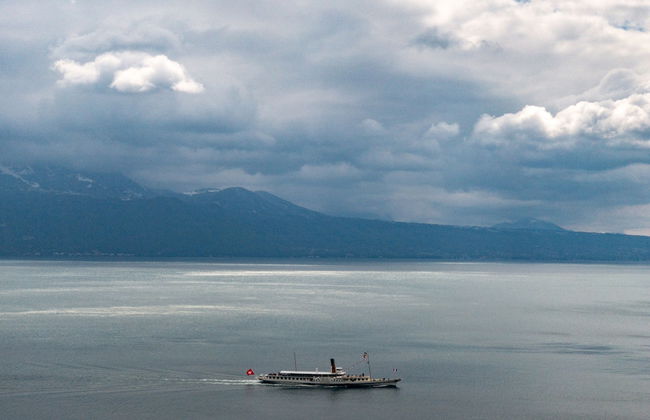 domaine du deven - Foto 61