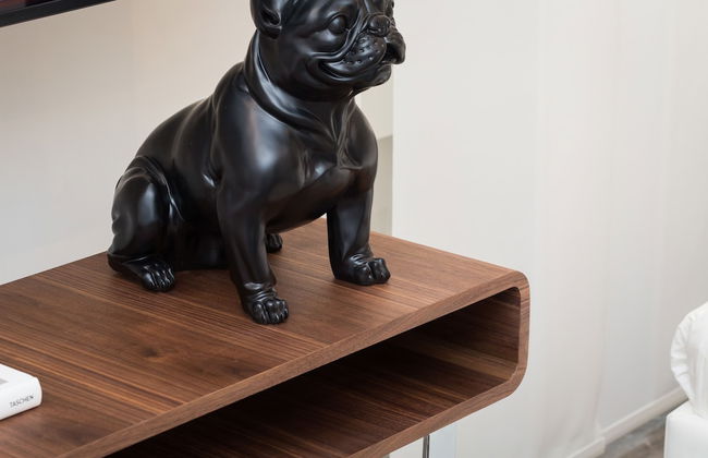 Clementi Portrait - Photo 34