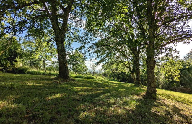 BONFARTO LOCATIONS - Foto 61