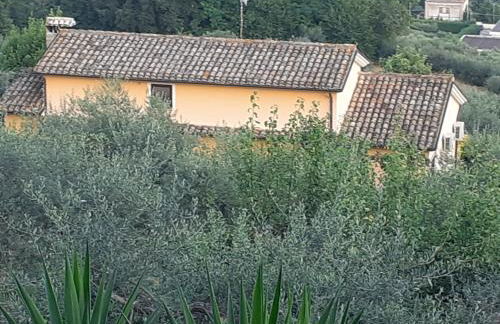 VILLETTA TRA GLI ULIVI - Foto 37