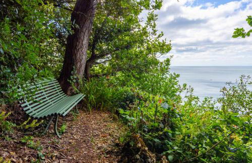 Umbrella Pines - Foto 31