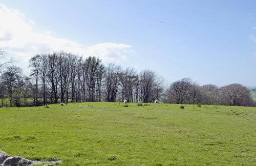 Valley View - 29530 - Foto 10