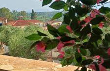 Country Nest - Foto 17