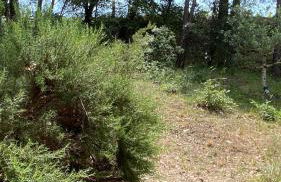 Le havre de paix Gîte insolite avec spa sous les étoiles - Foto 6