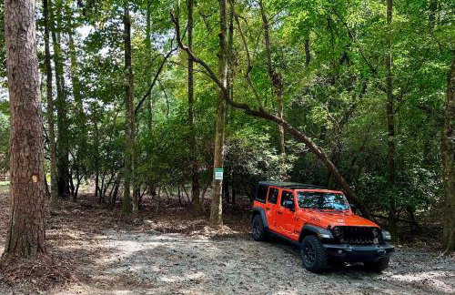 Cozy Lakeview Cottage - Foto 12